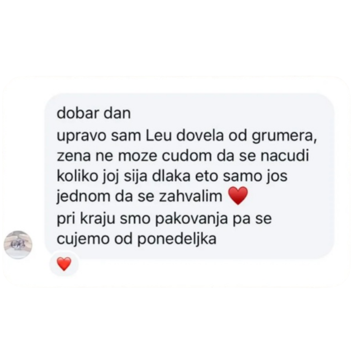 Speltanimal Tablete od speltine trave za ljubimce