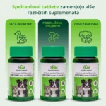 sa post 2